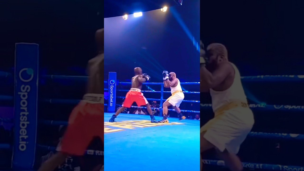Chaos in the Ring Boxing