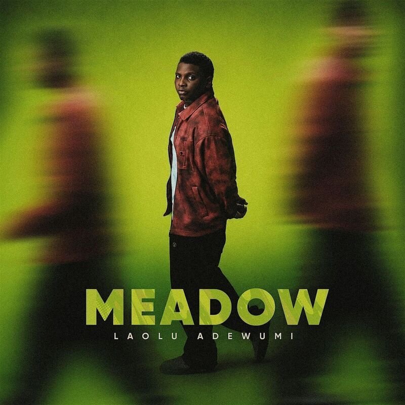 Laolu Adewumi - Meadow EP Listening Party: An Intimate Musical Experience